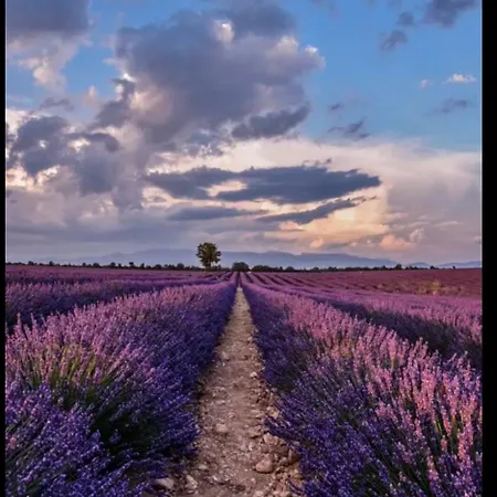 Villa 80 M2 Jardin Terrasse 3 Provence Volx