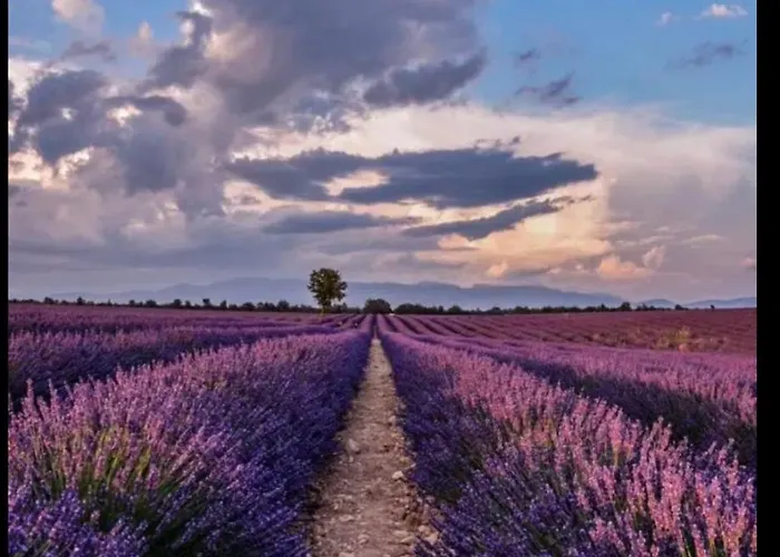 Villa 80 M2 Jardin Terrasse 3 Provence Volx